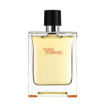 Hermes Terre d'Hermès 100ml EDT
